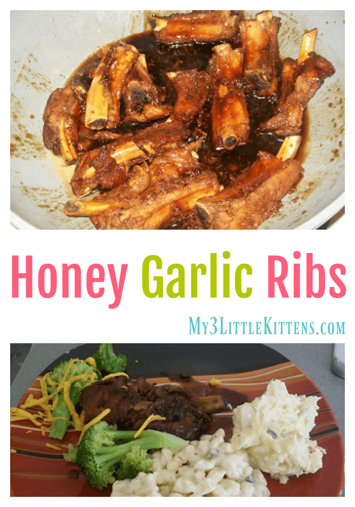 These Honey Garlic Ribs are delicious and fall off the bone fantastic!