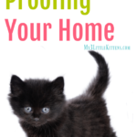 This Guide to Cat Proofing Your Home will have you cat proofing room to room in no time at all!