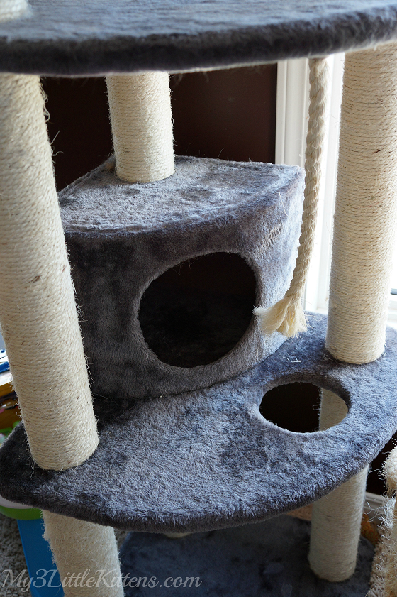 How to Choose a Cat Tree