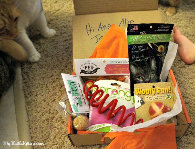 Treat Your Cat with Meowbox Pic2
