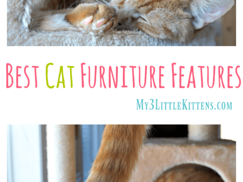 Best Cat Furniture Features That Will Have Your Cat Smiling From Ear to Ear!