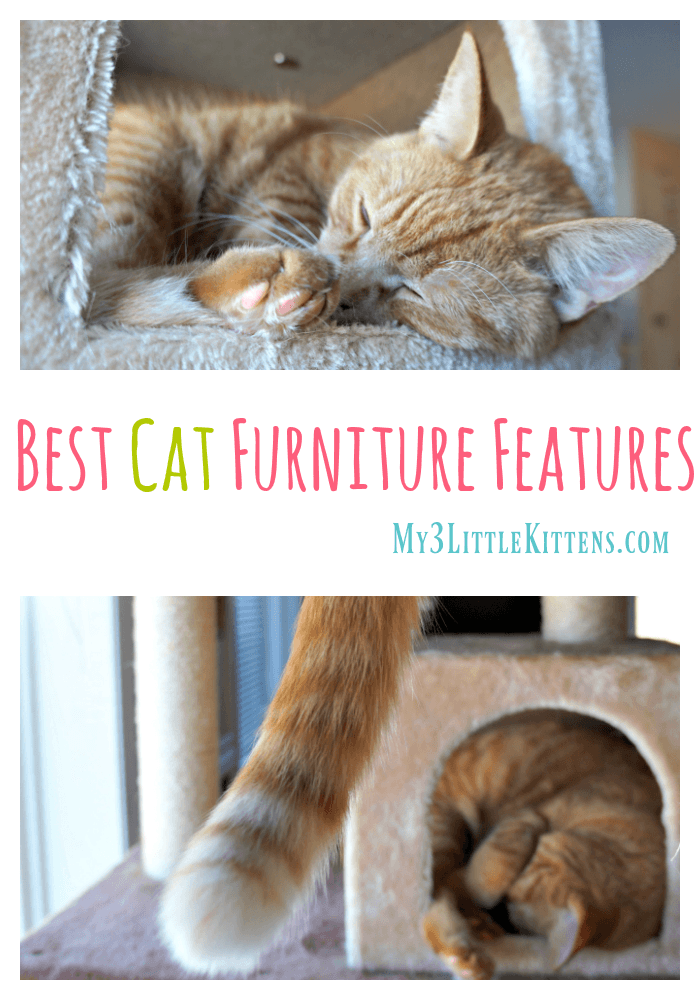 Best Cat Furniture Features That Will Have Your Cat Smiling From Ear to Ear!