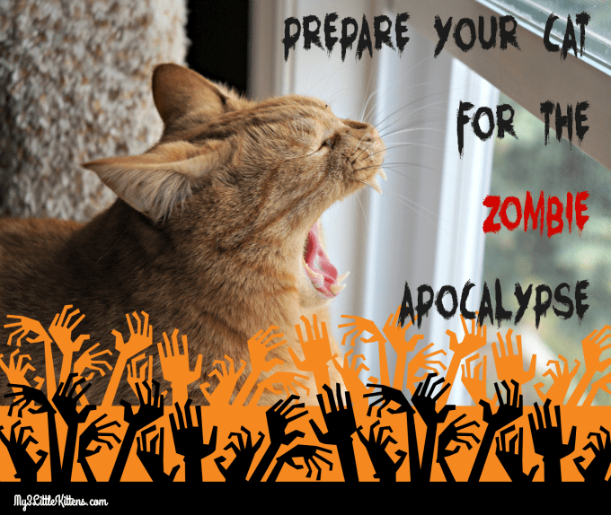 Prepare Your Cat for the Zombie Apocalypse. These will keep both you and your kitty Halloween ready as well!