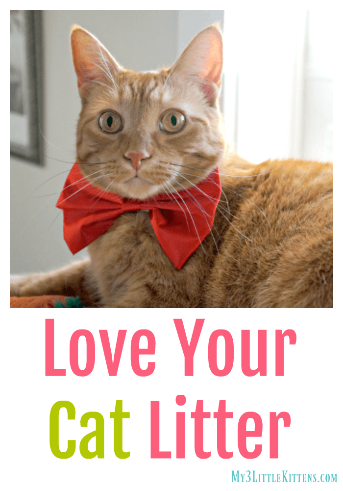 Love Your Cat Litter. Best Odor Control and Easy Scoop!