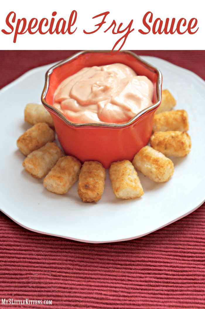 This 2 Ingredient Special Fry Sauce is Homemade, Quick and Easy!