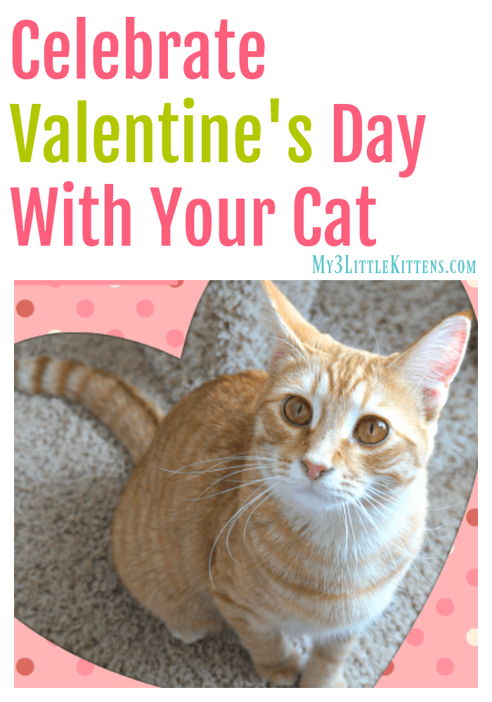 celebrate-valentine-s-day-with-your-cat-my-3-little-kittens