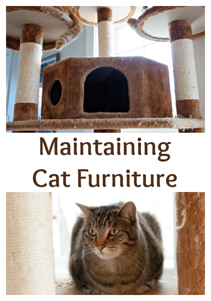 Maintaining Cat Furniture keeps your cat furniture safer. Your cat will thank you!