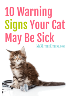 10 Warning Signs Your Cat May Be Sick - My 3 Little Kittens