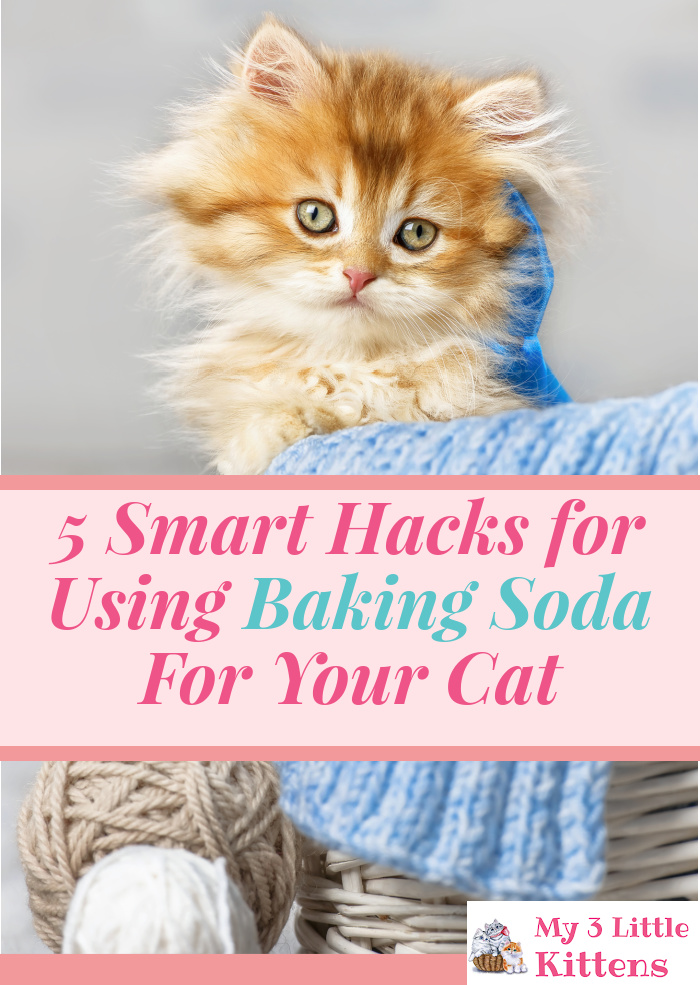 These 5 Smart Hacks for using Baking Soda for your Cat are simple and save you money!