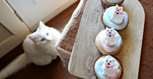 Easy Kitty Cat Cupcakes for Kids
