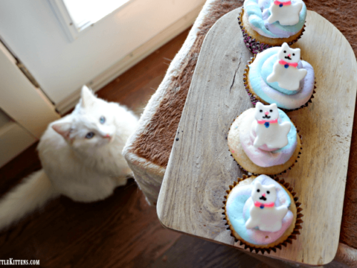 Easy Kitty Cat Cupcakes for Kids