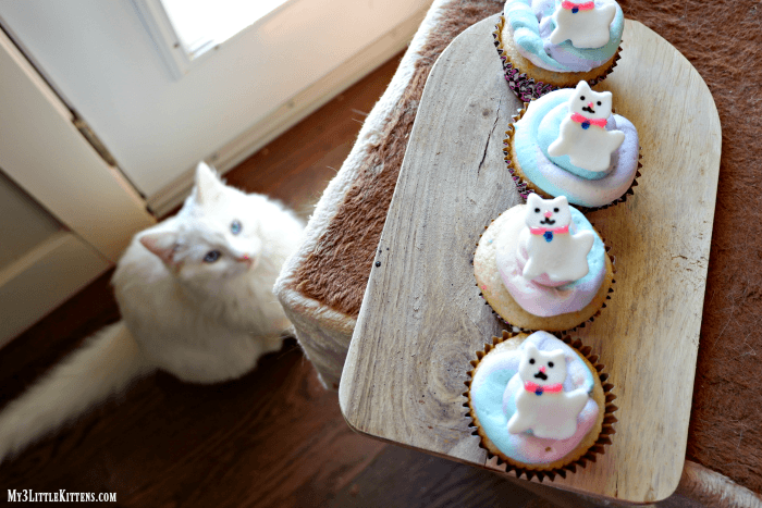 Easy Kitty Cat Cupcakes for Kids