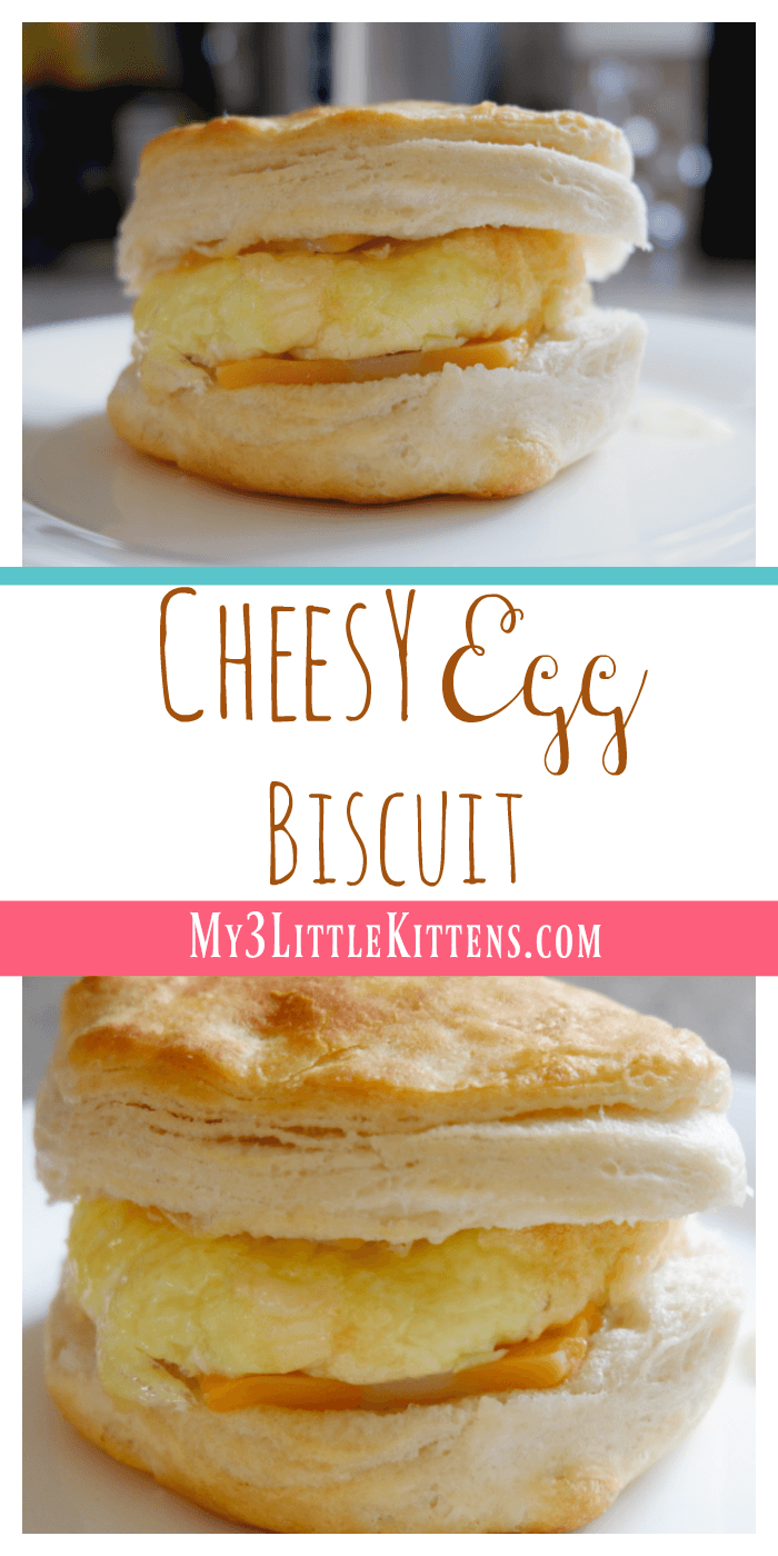 Ridiculously Delicious Cheesy Egg Biscuit. Perfect for breakfast or anytime!