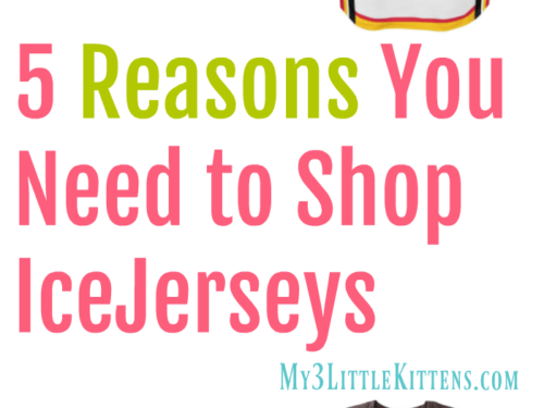 5 Reasons You Need to Shop IceJerseys. Sports, Women, Fidget goodies and more!