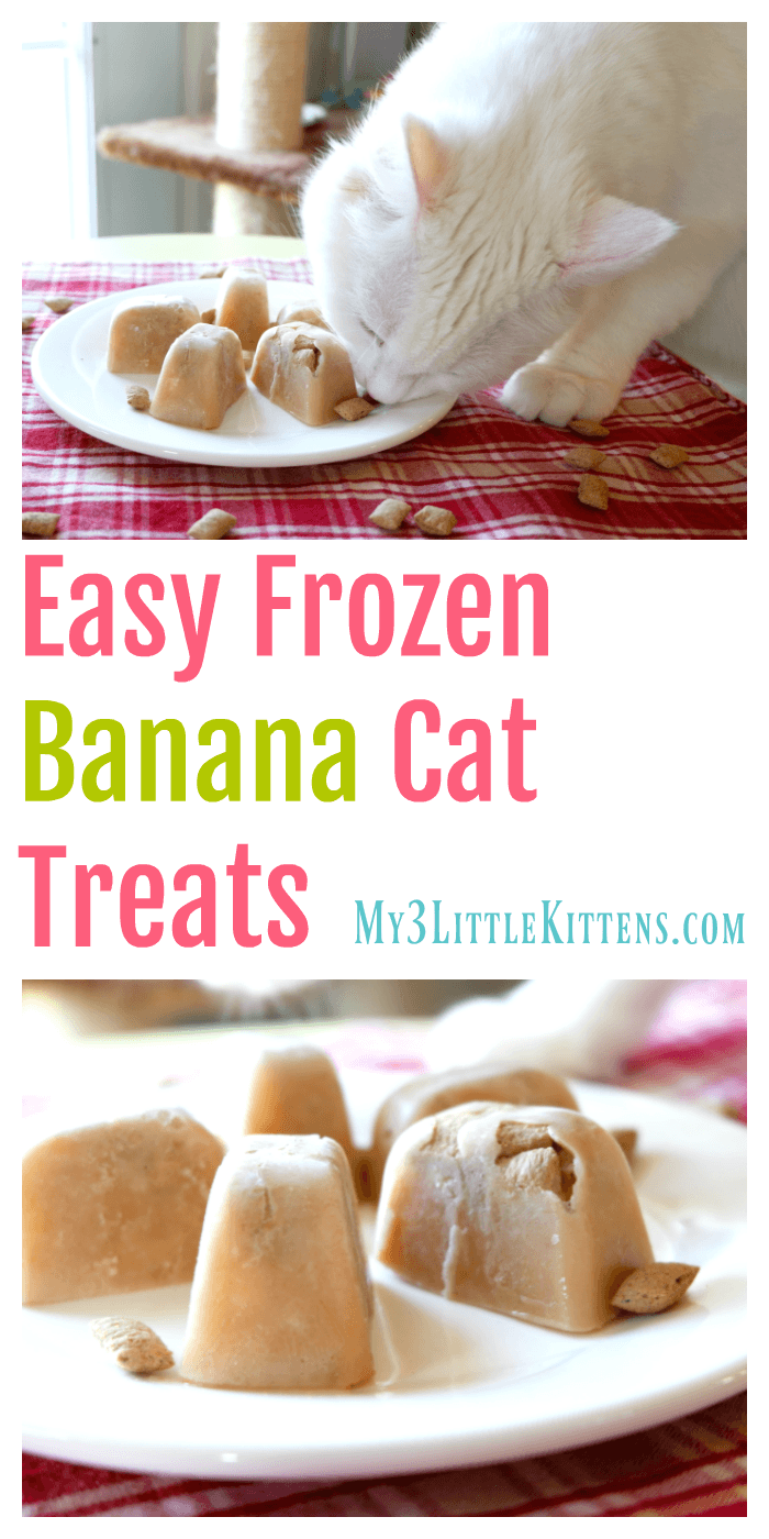 These Easy Frozen Banana Cat Treats are perfect for every kitty! Plus, you can got wrong with homemade!
