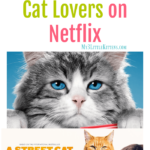 These Movies for Cat Lovers on Netflix are the perfect choice! Definitely kitty show approved!