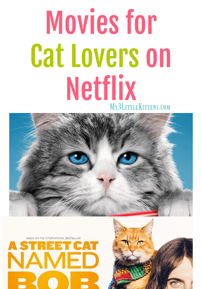 These Movies for Cat Lovers on Netflix are the perfect choice! Definitely kitty show approved!