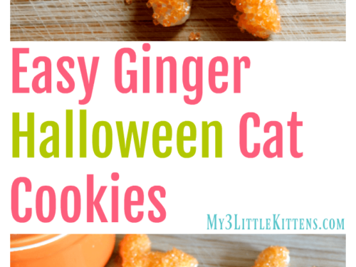 Easy Ginger Halloween Cat Cookies. Decorated for spooky kitty fun!