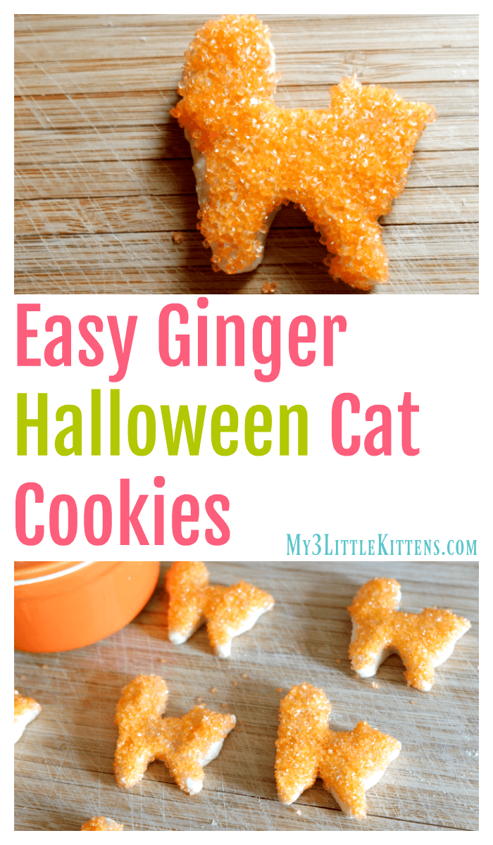 Easy Ginger Halloween Cat Cookies. Decorated for spooky kitty fun!