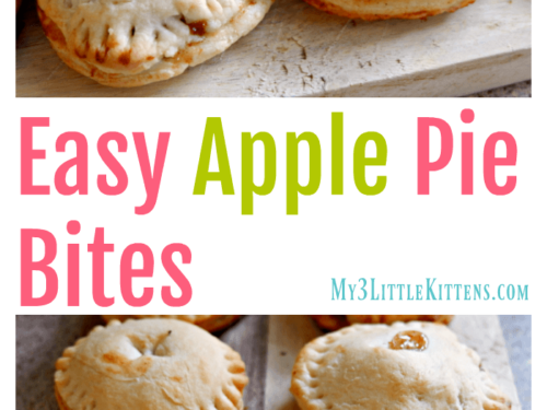 There Easy Apple Pie Bites are the Very Best! Homemade Never Tasted So Good!