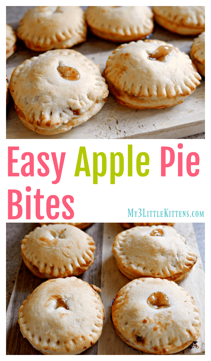 There Easy Apple Pie Bites are the Very Best! Homemade Never Tasted So Good!