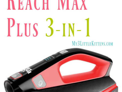 Dirt Devil Reach Max Plus 3-in-1