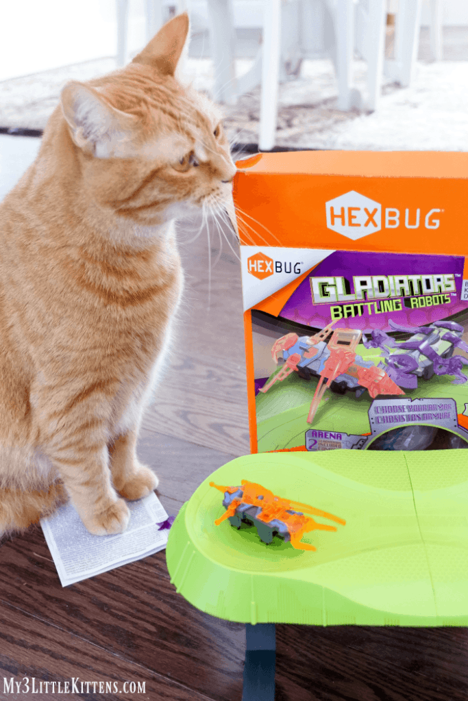 hexbug fighting robots