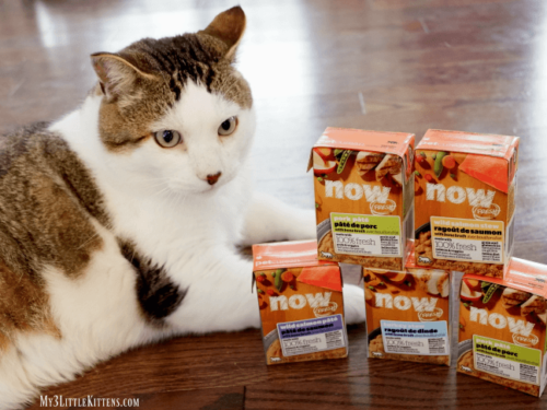 NOW FRESH Natural Cat Food for the Kitty in your life!