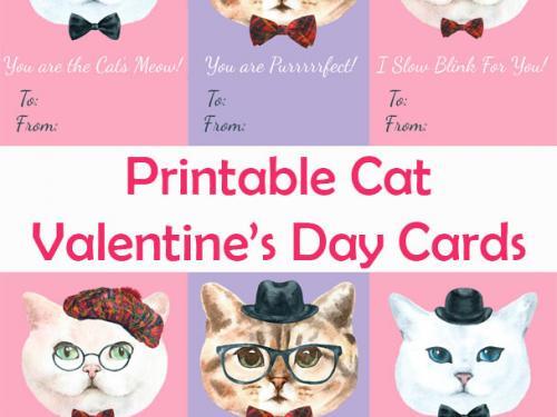 Cat Valentine's Day Cards for Kids and Cat Lovers Alike!