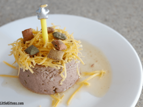 This Easy Birthday Cake For Your Cat How To is perfect for your kitty!