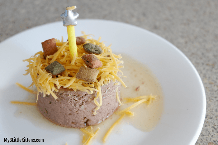 This Easy Birthday Cake For Your Cat How To is perfect for your kitty!