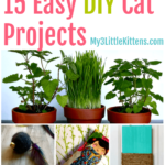These 15 Easy DIY Cat Projects make the perfect craft ideas for your kitty.