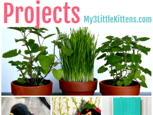 These 15 Easy DIY Cat Projects make the perfect craft ideas for your kitty.