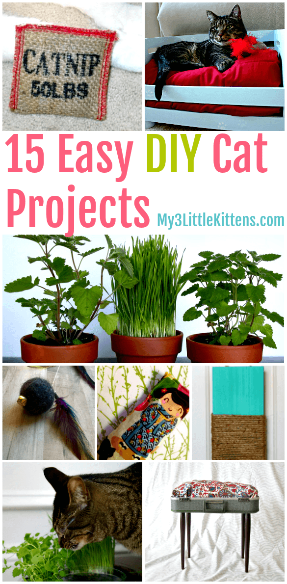 These 15 Easy DIY Cat Projects make the perfect craft ideas for your kitty.