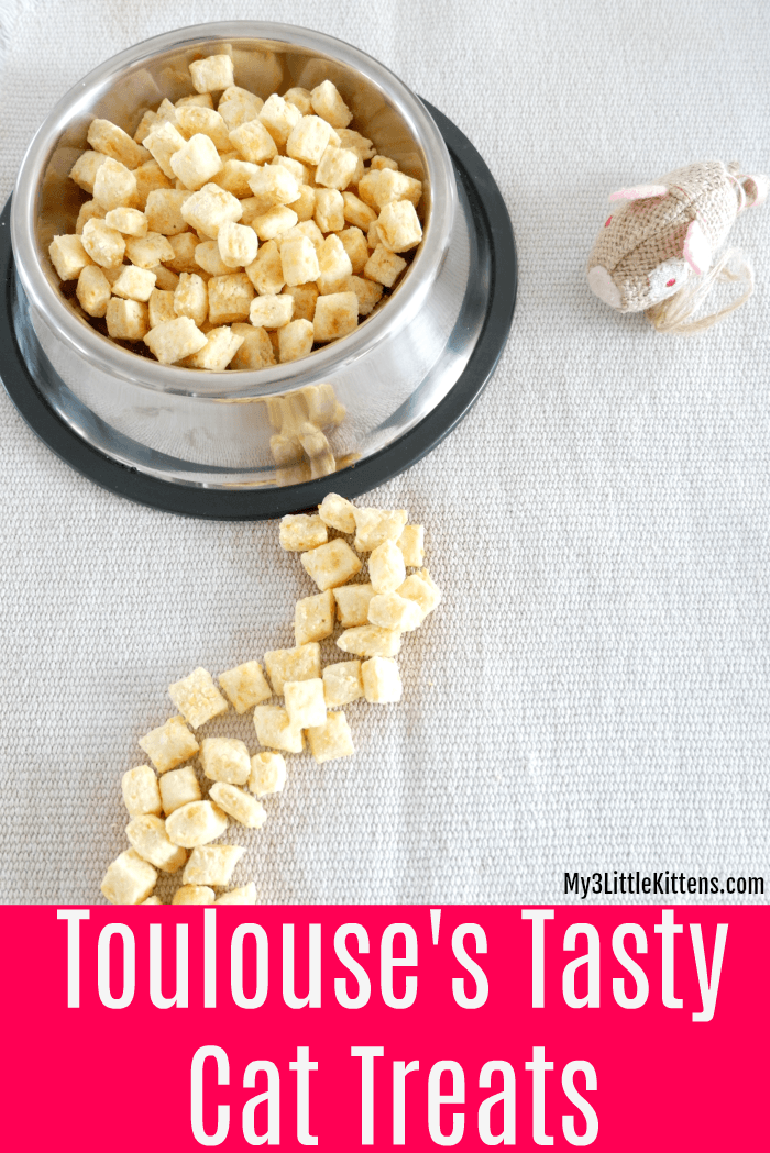 Toulouse's Tasty Cat Treats are Easy, Homemade and DIY. Your kitty will love this healthy recipe!
