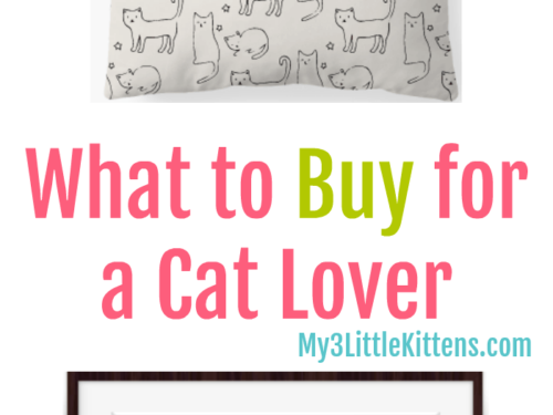 What to Buy for a Cat Lover. These Kitty Gifts are Perfect Ideas for the Meow Fan!