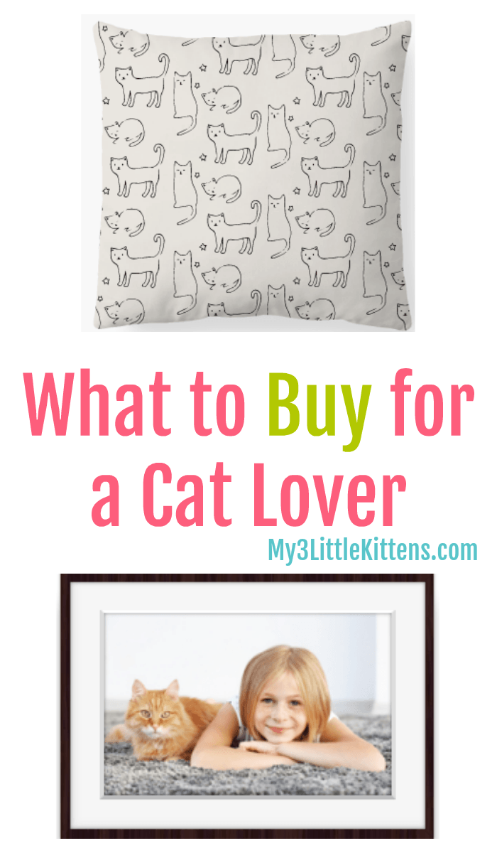 What to Buy for a Cat Lover. These Kitty Gifts are Perfect Ideas for the Meow Fan!