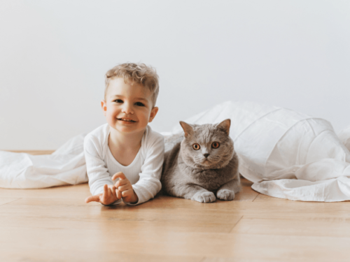 These tips on how to help your child bond with a cat are a must read for any kitty loving family!