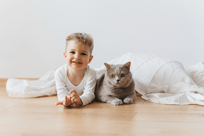 These tips on how to help your child bond with a cat are a must read for any kitty loving family!