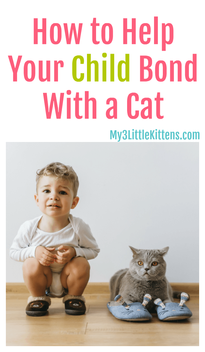 These tips on how to help your child bond with a cat are a must read for any kitty loving family!