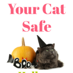 Keep Your Cat Safe on Halloween. Whether trick or treat, kitty needs to be safe indoors.
