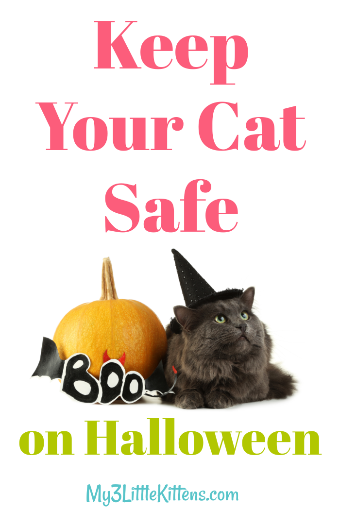 Keep Your Cat Safe on Halloween. Whether trick or treat, kitty needs to be safe indoors.