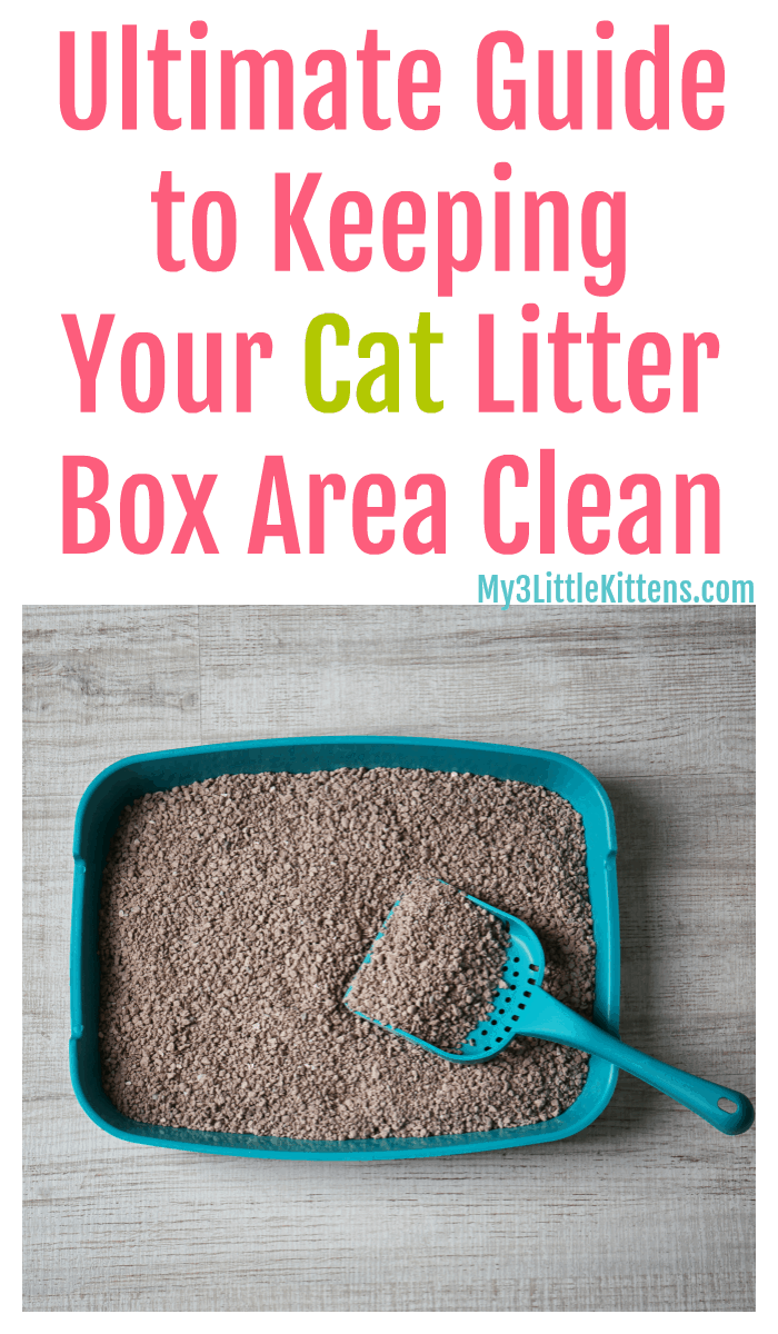 Ultimate Guide to Keeping Your Cat Litter Box Area Clean. These tips for your kitty are cat friendly and easy!
