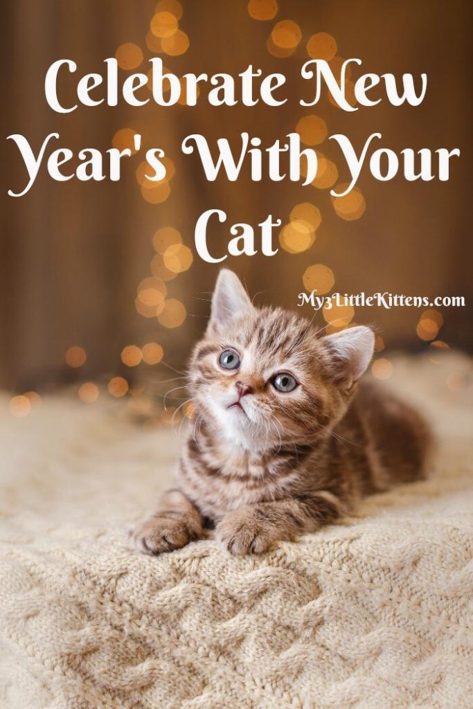Celebrate New Year's with Your Cat My 3 Little Kittens