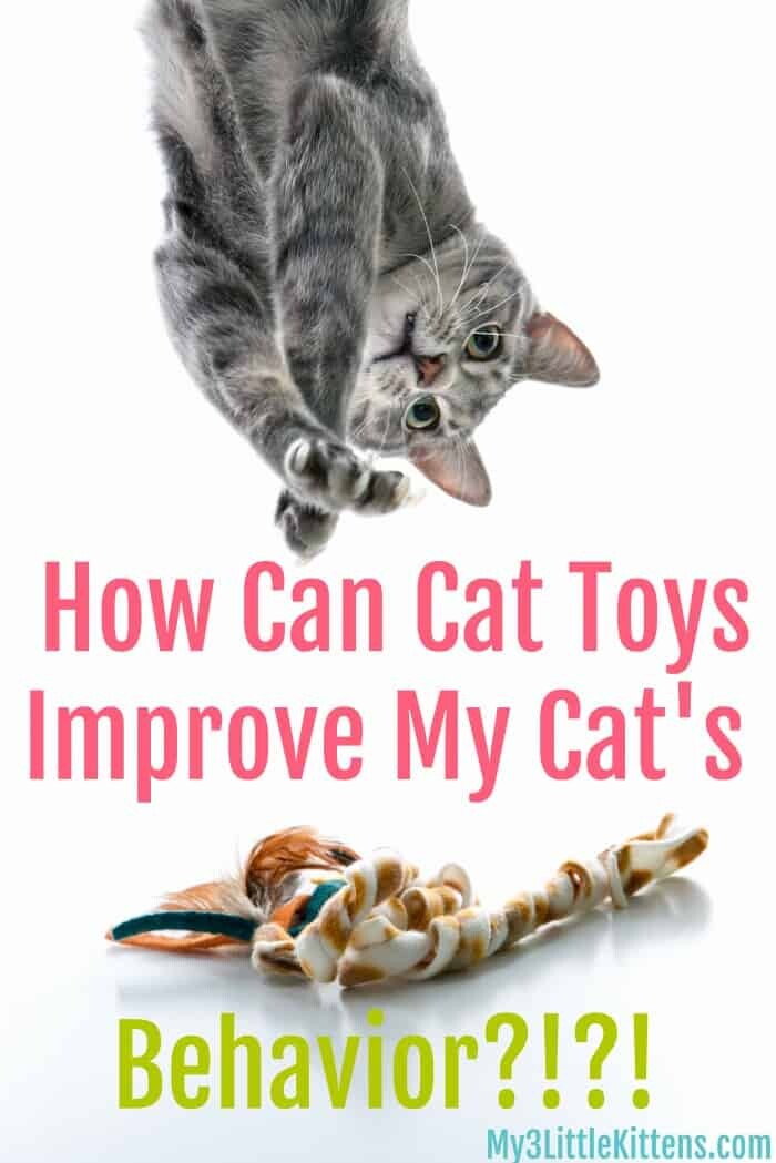 How Can Cat Toys Improve My Cat's Behavior. Fun, Learning, Guiding and Helping Your Kitty