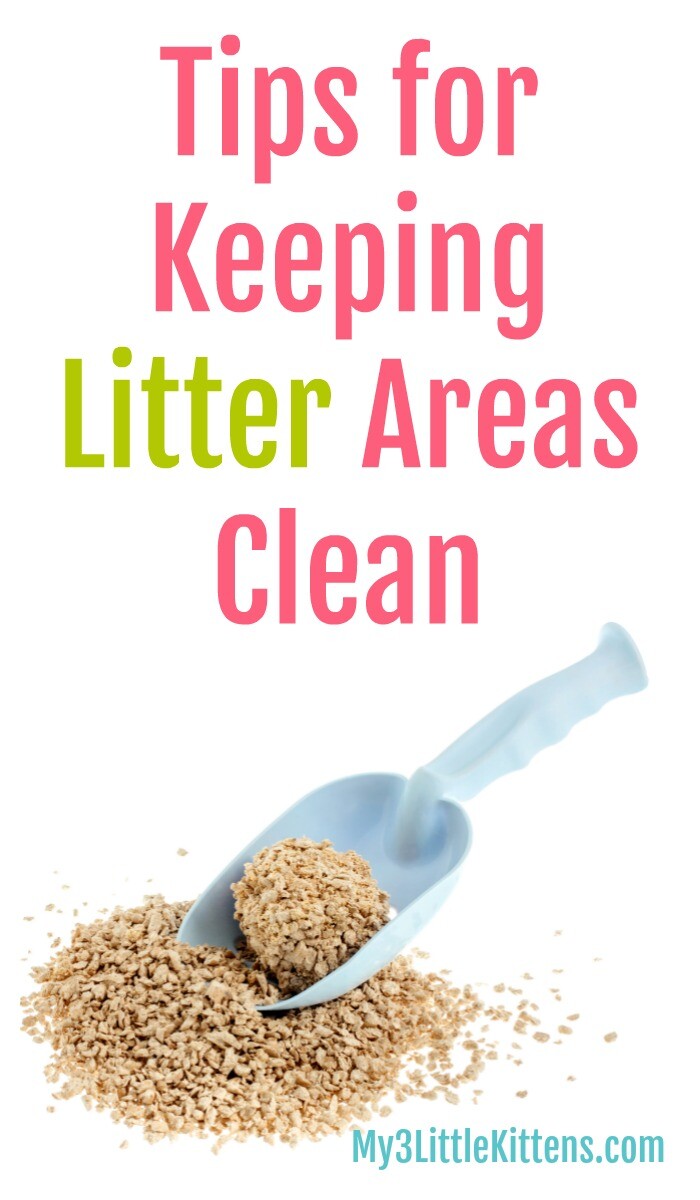 Tips for Keeping Litter Areas Clean. Your Cat wants a clean litter box. Keep kitty happy and healthy as well!