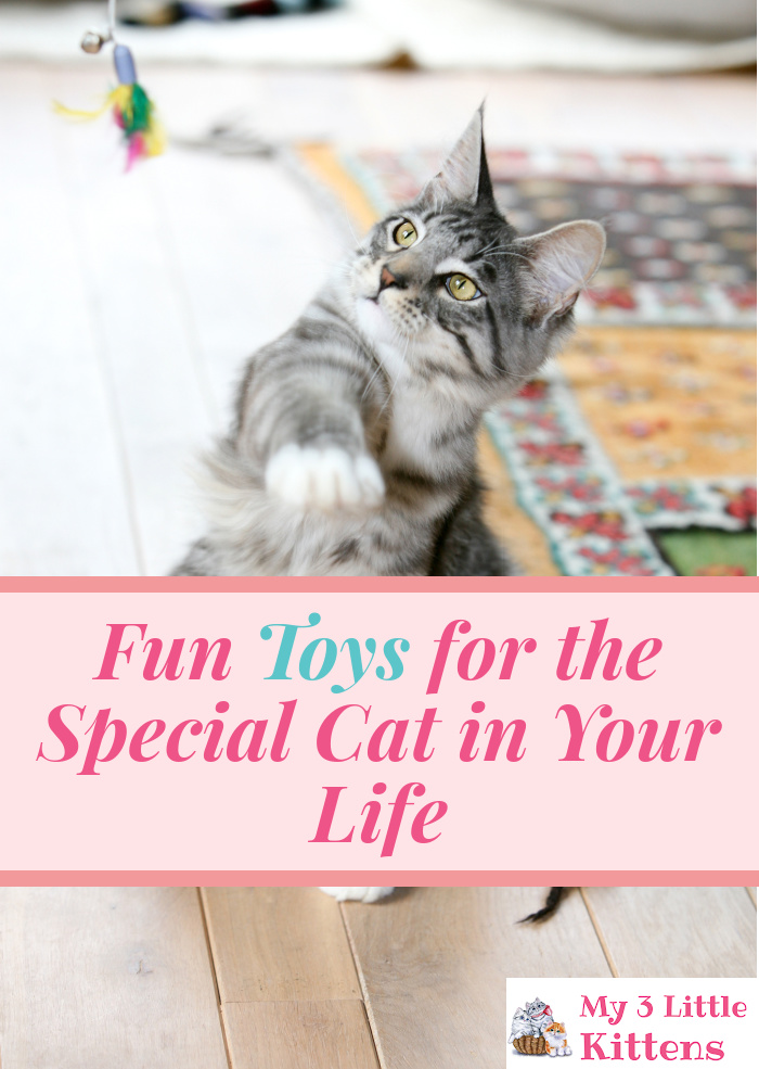 These Fun Toys for the Special Cat in your Life keep kitty active and healthy!