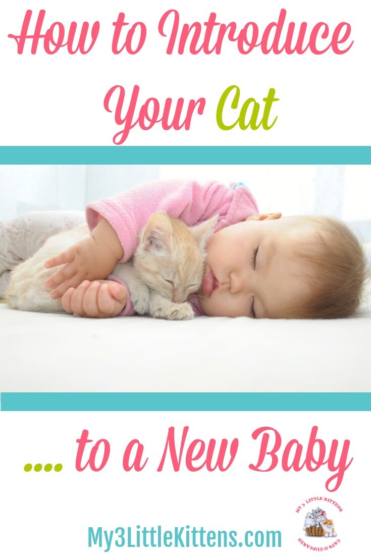 These Tips on How to Introduce Your Cat to a New Baby keeps your newborn safe and kitty secure.