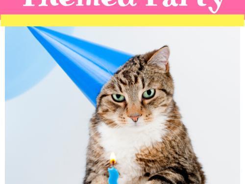 Planning Purrfect Cat Themed Party for a Cat Lover or Your Kitty!