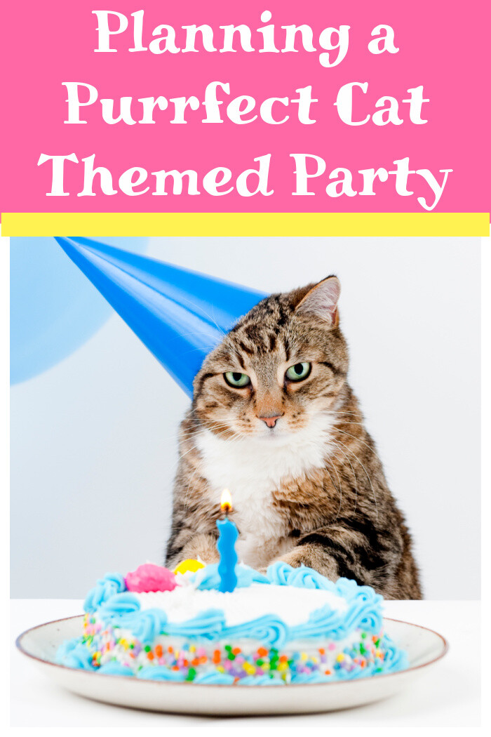 Planning a Purrfect Cat Themed Party for a fellow cat lover or your fur baby. Definitely a kitty approved party!